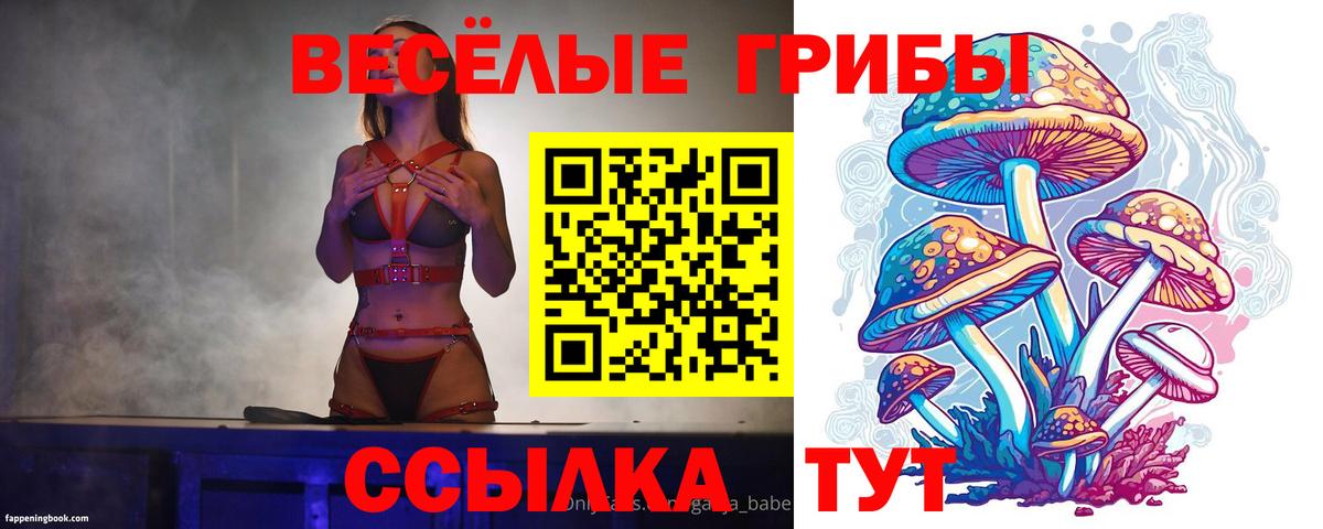 Галлюциногенные грибы GOLDEN TEACHER Лабинск
